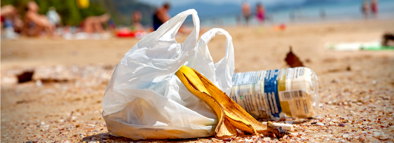 Alumnos y docentes se convierten en Científicos de la Basura