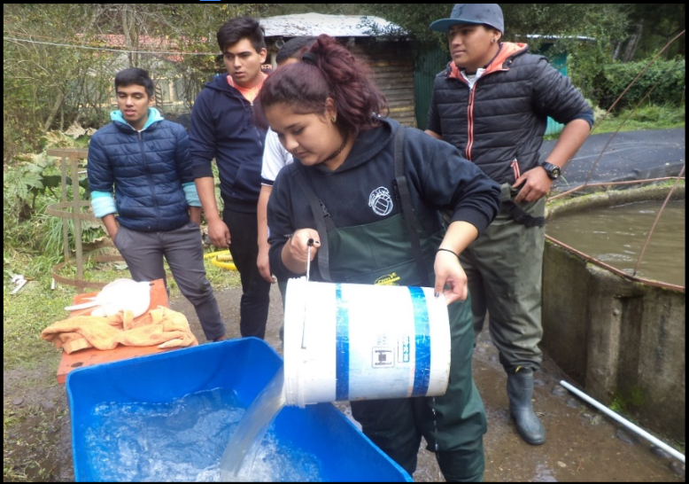 Exitosa experiencia de alumnos de Liceo Pencopolitano en Piscicultura Pangue