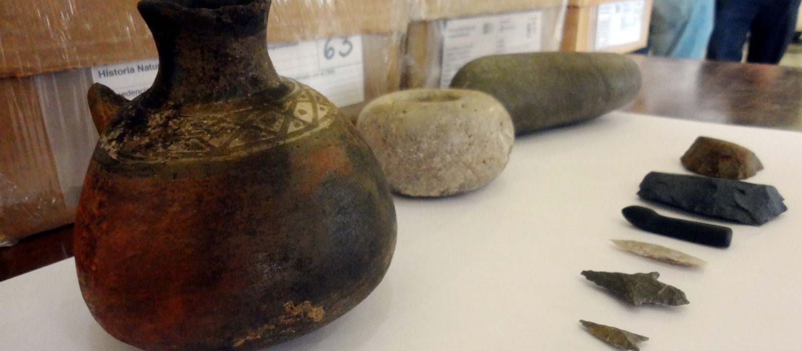 Valioso material arqueológico llega al Museo Nacional de Historia Natural