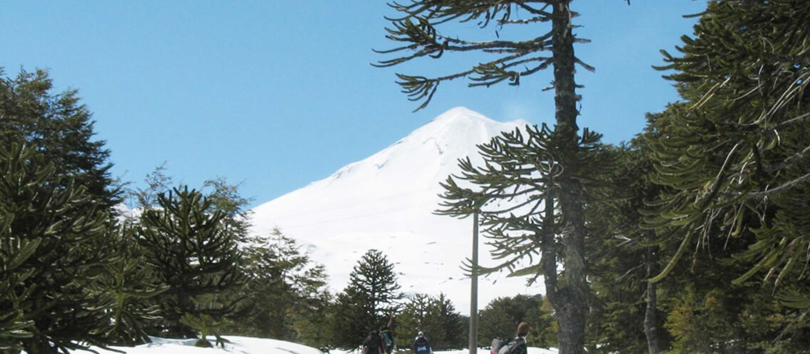 Cómo y dónde disfrutar la nieve este invierno