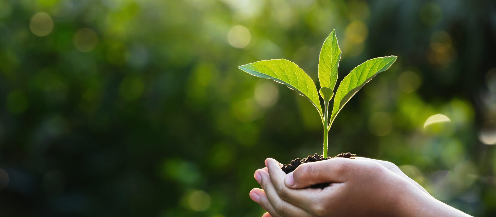 23 de junio: seminario WorldSkills Chile sobre Educación y Medio Ambiente