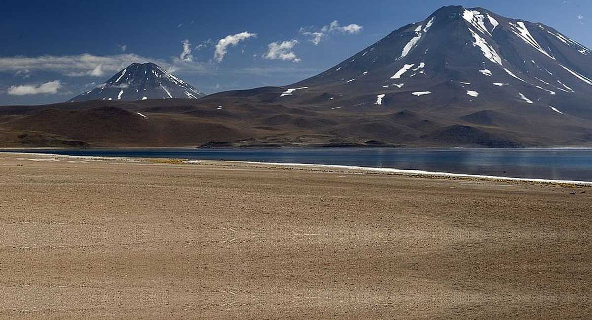 La naturaleza  en primer plano