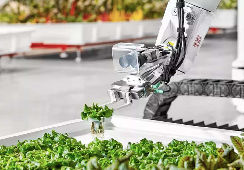 Tecnología para el agro: la creatividad e imaginación se hacen realidad