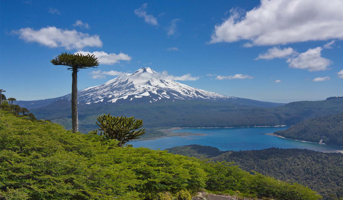 Rincones de Chile recomendados por profesores