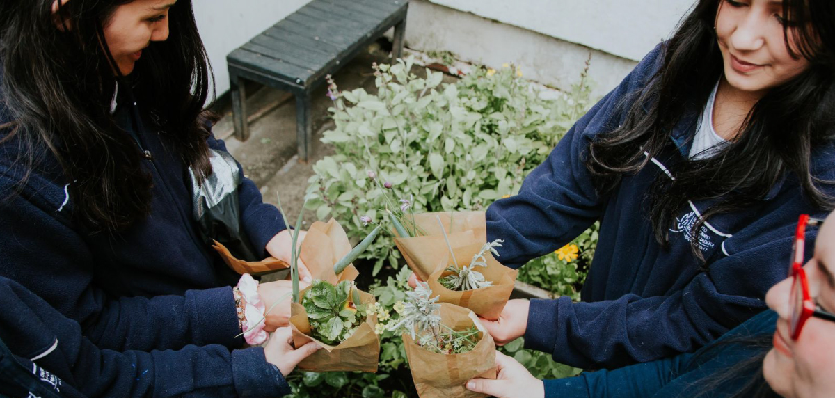 Una comunidad educativa que transforma su entorno desde la ecología integral