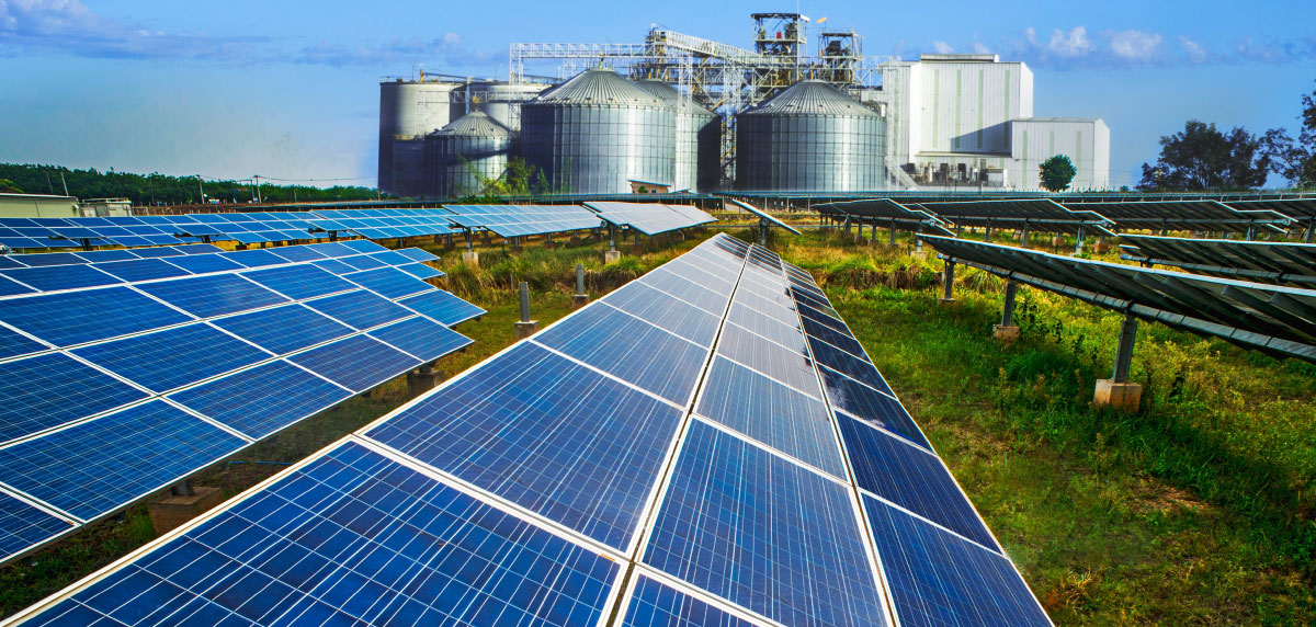 Se requieren técnicos especializados en hidrógeno verde y energías renovables: las profesiones que impulsan la transición energética