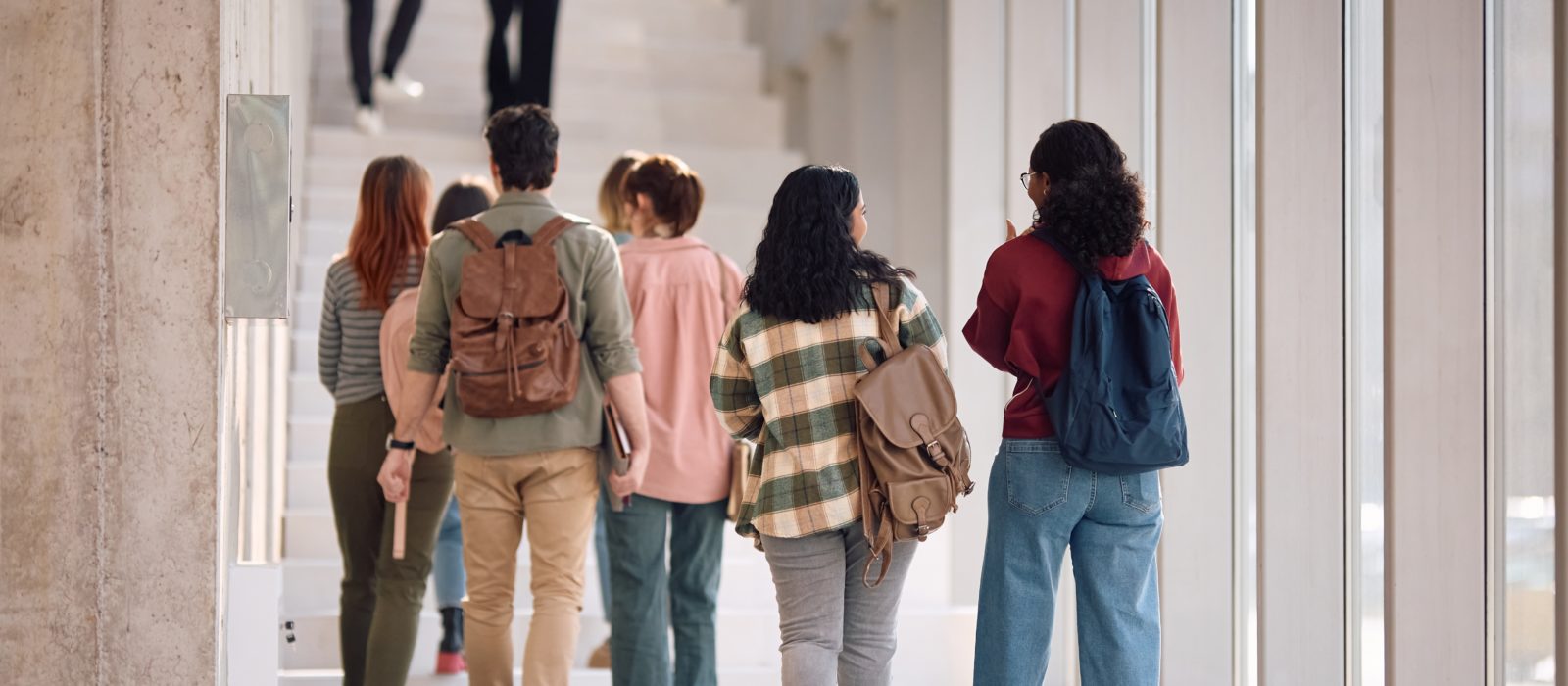 Concentran casi la mitad de la matrícula y carreras duran 8 semestres: la alternativa a las universidades