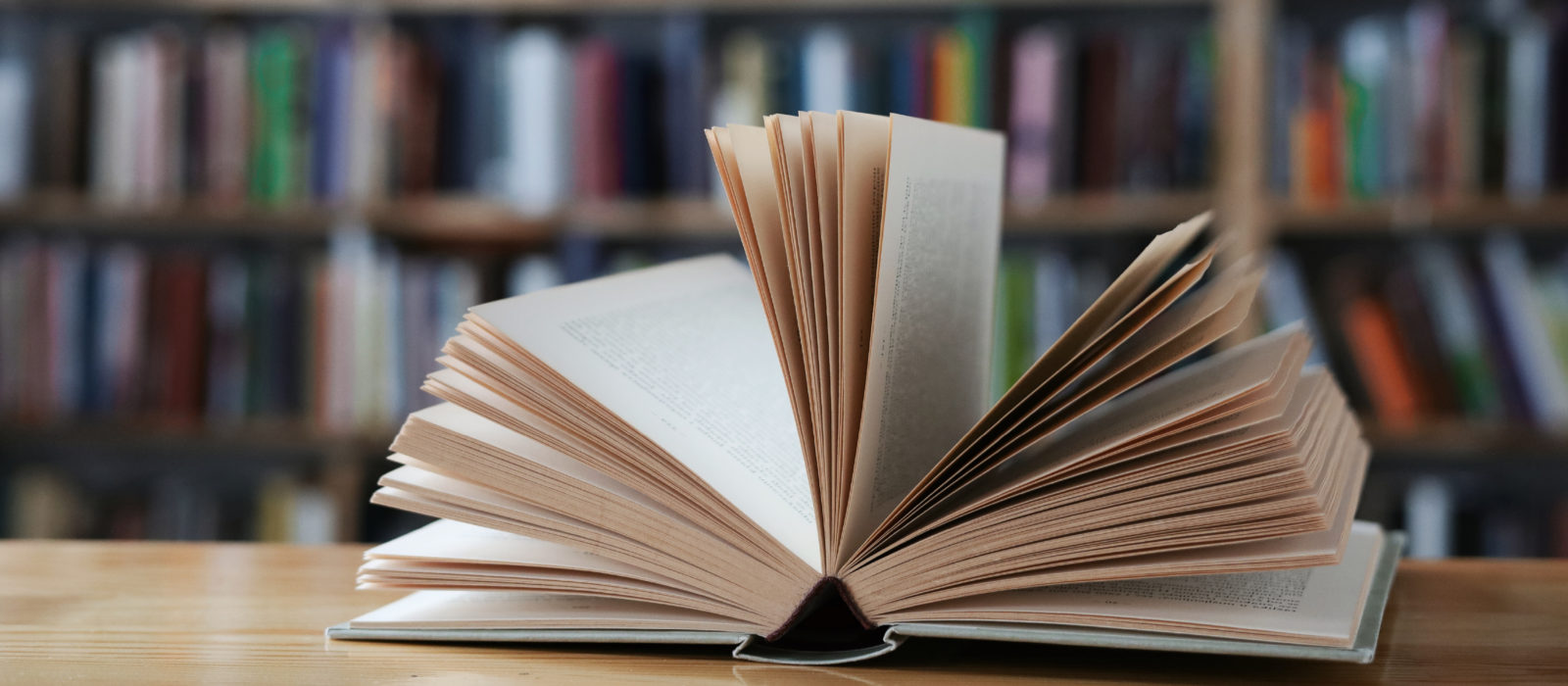 Aprender a través de la lectura